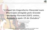 O Papel do Engenheiro Florestal num Município atingido ... · O Engenheiro Florestal na Prevenção e Combate aos Incêndios Rurais 11 ... Incêndio Florestal (GIF): antes, durante