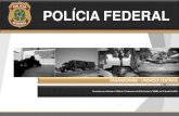 POLÍCIA FEDERAL - pf.gov.br · inteligÊncia policial dip/pf das 101.5 gabinete gab/pf das 101.4 27 - superintendÊncias regionais das 101.3 polÍcia federal pf das 101.6 diretoria