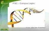 IFSC Campus Lages · Apenas uma das fitas é utilizada como molde para a síntese do RNA ... ocorre na cavidade maior do DNA, ... fazem parte do processamento do RNA.