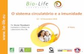 O sistema circulatório e a imunidade e§ão-Bio... · 2017-03-24 · No organismo, está ... • Melhoria da biodisponibilidade dos minerais associados ... o Participa no desenvolvimento