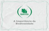 A Importância da Biodivesidade - lipor.pt · A Importância da Biodivesidade . ... Flora . Espécies extintas ou em vias de extinção . ... taxa 1000 vezes superior ao normal.