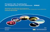 Projeto de Avaliação de Impactos Cumulativos - PAIC · No Volume 2 apresentam-se os apêndices. O PAIC visa o atendimento às condicionantes de licença dos empreendimentos Atividade