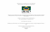 REPÚBLICA FEDERATIVA DO BRASIL MINISTÉRIO DE MINAS …rodadas.anp.gov.br/arquivos/Oferta_Permanente/Edital/Minuta_contra... · Programa de Trabalho Inicial, Atividades Adicionais