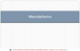 A 1ª Lei de Mendel - files.fredericoschmidt-com-br ...files.fredericoschmidt-com-br.webnode.com/200169927-d840cd93f5/02... · Experimento de Mendel Linhagens puras – Geração