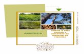 AUDITORIA MADEIRA DO PINHEIRO RELATÓRIO Nº 2 /17 · O Sistema de Gestão de Informação de Fitossanidade Florestal, gerido pelo ICNF, contém os registos das ações de prospeção,