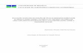 UNIVERSIDADE DE BRASÍLIA FACULDADE DE AGRONOMIA …repositorio.unb.br/bitstream/10482/14255/1/2013_RomuloVitelliRocha... · avaliar os efeitos da aplicação de fração autógena