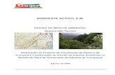 NORDESTE ACTIVO, E.M. - Portal do Governo dos Açores · dos Açores, nomeadamente a SCUT do Nordeste, e com a implantação da zona Industrial, que constitui um dos pólos com maior