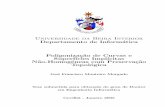 Universidade da Beira Interior Departamento de Inform ...armenioc/privado/PapersLivrosSites/artigos/TeseMorg.pdf · homog´eneas em que a amostragem ´e feita por subdivis˜ao BSP.