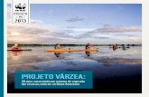 BR 2013 - d3nehc6yl9qzo4.cloudfront.net · 4 | Projeto Várzea | Desafio A região do Rio Amazonas no oeste do Pará, entre a divisa com o Amazonas e o Rio Xingu, conhecida como Baixo