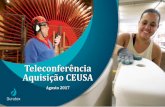 Teleconferência Aquisição CEUSA - duratex.com.br · Share A 48 4,6% B 39 3,7% C 38 3,6% D 30 2,9% Ceusa 6 0,6% Mercado 1.051 100,0% ... Marketing e Inovação Equipe e processos