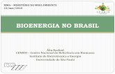 BIOENERGIA NO BRASIL - mma.gov.br · Ália Rached CENBIO –Centro Nacional de Referência em Biomassa Instituto de Eletrotécnica e Energia Universidade de São Paulo BIOENERGIA