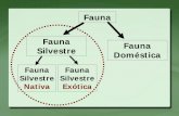 Fauna Silvestre Doméstica - arquivos.ambiente.sp.gov.brarquivos.ambiente.sp.gov.br/municipioverdeazul/2014/10/Base-legal.pdf · •1988 – fauna como bem difuso – Constituição