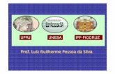 Prof. Luiz Guilherme Pessoa da Silva - unimedrio.com.br · Prof. Luiz Guilherme Pessoa da Silva UFRJ UNESA IFF-FIOCRUZ. FISIOPATOLOGIAFISIOPATOLOGIA glicoseglicose insulinainsulina