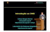 Introdução ao DNS - lsi.usp.brlsi.usp.br/~volnys/courses/tecredes/pdf/13DNS-col.pdf · 4 O que é DNS? o “Domain Name System ” o Serviço necessário para todos os computadores
