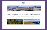 RELATÓRIO DE ATVIIDADE - edia.pt · procedeu à visita de especialidade da barragem de Pedrógão, tendo considerado, em resultado dessa inspeção, que se mantinham as condições