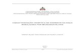 CARACTERIZAÇÃO GENÉTICA DE EQÜÍDEOS DA RAÇA …ainfo.cnptia.embrapa.br/.../item/173962/1/TESE-FINAL-MariaRosa.pdf · maria rosa t. da r. costa 2007 tese de doutorado (ufpa)