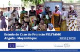 Estudo de Caso do Projecto FELITAMO Angola - Moçambique 04 Estudo de Caso em Angola e Moçambique | 2010 - 2012 Sobre o Projecto FELITAMO Objectivos do Projecto FELITAMO • Contribuir