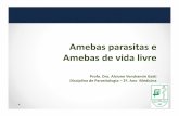 Amebas parasitas e de vida livre Alcione · Title: Microsoft PowerPoint - Amebas parasitas e de vida livre Alcione.pptx Author: Alcione V. Gatti Created Date: 2/17/2017 4:22:38 PM