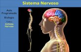 Tema: Sistema Nervoso - energiabarreiros.com.br · Sistema Nervoso 1) Introdução O sistema nervoso é responsável pelo ajustamento do organismo ao ambiente. Sua função é perceber