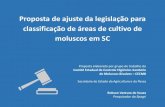 Proposta de ajuste da legislação para classificação de ... · Proposta elaborada por grupo de trabalho do Comitê Estadual de Controle Higiênico-Sanitário de Moluscos Bivalves