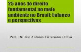 25 anos do direito fundamental ao meio ambiente no Brasil ...professor.pucgoias.edu.br/SiteDocente/admin/arquivosUpload/13760... · 25 anos do direito fundamental ao meio ambiente