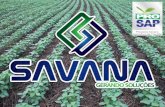 Savana Agricultura de Precisão · Savana Agricultura de Precisão • Inicio das atividades 2004. • Consultoria em manejo de solo e nutrição de sistemas com as ferramentas de