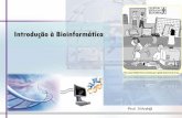 Introdução à Bioinformática - Profª IVAnéaprofiva.dominiotemporario.com/doc/Genetica11.pdf · (1953) de que o DNA é estruturado como uma hélice dupla; a Bioinformática ...