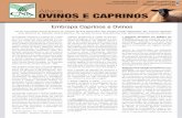 2-Ativos-Ovinos e Caprinos - Jornal Dia de Campo671913533-104D}_Ativo_Ovinos_Caprinos.pdf · A Embrapa Caprinos e Ovinos foi criada em 1973. Sua sede está instalada em So-bral, no