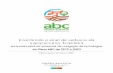 Invertendo o sinal de carbono da agropecuária brasileiramediadrawer.gvces.com.br/abc/original/gv-agro_09_em-simples.pdf · COORDENADOR DO GV AGRO Roberto Rodrigues COORDENAÇÃO
