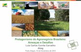 Protagonismo do Agronegócio Brasileiro: Ameaças e Desafios · Fonte: CEPEA/USP, CAN, GAF 2014, IPEA, MAPA, MDIC, GV AGRO ... • Em 10 anos, o país tem o potencial de se tornar