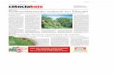 Reflorestamento natural no Marajó - DSR/INPE · artigos publicados na revista Leia mais na revista Ciência Hoje, edição de dezembro JB 114 ... dores de diversas instituições