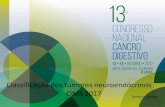 Classificação dos tumores neuroendócrinos OMS 2017 · Resumo Rindi G, Arnold R, Bosman FT, Capella C, Klimstra DS, Klöppel G, Komminoth P, Solcia E: Nomenclature and classification