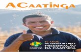 ANO 1 | Nº 7 | outubro e novembro de 2017 · 2018-09-04 · ta Joaquim Feitosa de 2006, a maior comenda na área ambiental ofertada pelo Estado do Ceará, e o Prêmio Ambiental Von