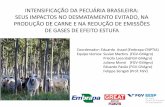 INTENSIFICAÇÃO DA PECUÁRIA BRASILEIRA: SEUS … · Fatores para a variação de C no solo de pastagem IPCC 2006. Impactos nas emissões de GEE relacionados com a adoção e a não