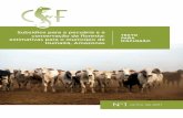 Subsídios para a pecuária e a - Conservation Strategy Fundconservation-strategy.org/sites/default/files/field-file/Subsidio... · atrativa a possibilidade de desmatamento para outros