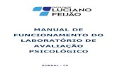MANUAL DE FUNCIONAMENTO DO LABORATÓRIO DE …flucianofeijao.com.br/novo/wp-content/uploads/2018/03/Manual_de... · o livro de controle de acesso ao laboratório, bem como conferir