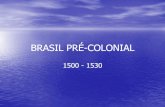 BRASIL PRÉ-COLONIAL - api.ning.com filetinta para tecidos); •O pau-brasil passou a ser utilizado no famoso monopólio português, na qual denominamos Pacto Colonial. (lembre que