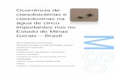 Ocorrência de cianobactérias e cianotoxinas na água de cinco … · 2018-11-21 · Mestrado em Biologia e Gestão da Qualidade da Água Departamento de Biologia ... Na metodologia