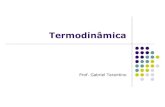 Mecânica dos Fluidos - archive.org¢mica.pdf · Termodinâmica Termodinâmica Química: A termodinâmica Química estuda aplicações dos fundamentos da Termodinâmica em problemas