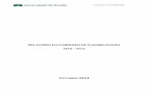 RELATÓRIO DA COMISSÃO DE FLEXIBILIZAÇÃO 2013 2014dgp.unb.br/images/Documentos/Relatorio_comissaoflexibilizacao... · 2. Metodologia de Trabalho e de Análise dos Requerimentos
