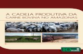A Cadeia Produtiva de Carne Bovina no Amazonas · inspeção estadual – e do Ministério da Agricultura, Pecuária e Abastecimento ... onde cerca de 80% das áreas desmatadas são