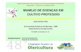 U E MANEJO DE DOENÇAS EM - ABH - Associação Brasiliera ... · Manejo integrado: combate à doença: ... - manejo de pragas - manejo de doenças ... (porcentagem de plantas sintomáticas)