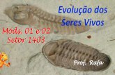 Evolução dos Seres Vivos - colegionomelini.com.br · Classificação Embriológica dos Animais Parazoários:sem tecidos verdadeiros Eumetazoários:com tecidos verdadeiros Poríferos