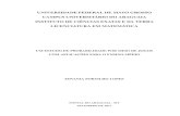 UNIVERSIDADE FEDERAL DE MATO GROSSO CAMPUS …curso.cua.ufmt.br/matematica/file/2018/04/monografia_edvania.pdf · UNIVERSIDADE FEDERAL DE MATO GROSSO CAMPUS UNIVERSITÁRIO DO ARAGUAIA