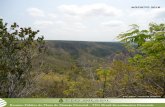 Resumo Público do Plano de Manejo Florestal – TTG Brasil ... · Apresentação A TTG Brasil Investimentos Florestais Ltda, empresa de administração de propriedades florestais