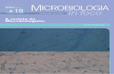 A revista do Microbiologista. · 3 Editorial ndice Epediente É com grande satisfação que publicamos a 19ª edição da Revista Microbiologia in Foco. Continuamos com os objetivos