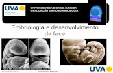 Embriologia e desenvolvimento da face - fonovim.com.br · Embriologia e desenvolvimento da face Prof Viviane Marques UNIVERSIDADE VEIGA DE ALMEIDA GRADUAÇÃO EM FONOAUDIOLOGIA