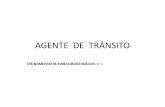 AGENTE DE TRÂNSITO - almg.gov.br · Clique para editar o estilo do subtítulo mestre AGENTE DE TRÂNSITO TREINAMENTO DE HABILIDADES SOCIAIS