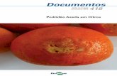 Documentos - Principal - Agropedia brasilisainfo.cnptia.embrapa.br/digital/bitstream/item/160424/1/Documento... · frutas são armazenadas por longos períodos ... contendo cadeias