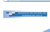 Relatório de Gestão do SEBRAE/RJ 2013 Sebrae/UFs/RJ/Anexos/Relatório... · Vinculado ao MINISTÉRIO DO DESENVOLVIMENTO, INDÚSTRIA E COMÉRCIO EXTERIOR - MDIC RELATÓRIO DE GESTÃO